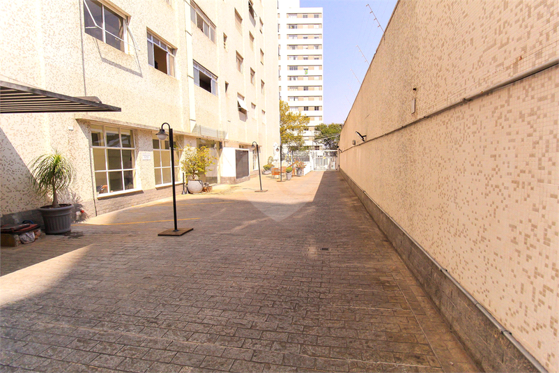 Foto REO1069842