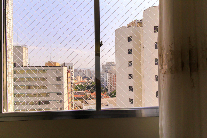 Foto REO1069842