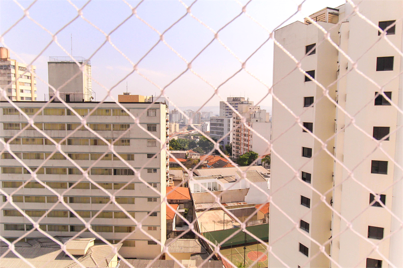 Foto REO1069842
