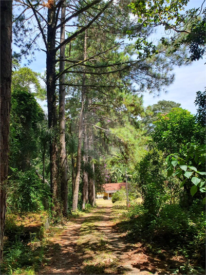 Foto REO1069849
