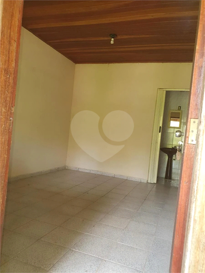 Foto REO1069849