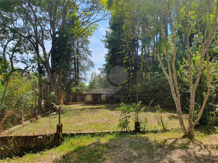 Foto REO1069849