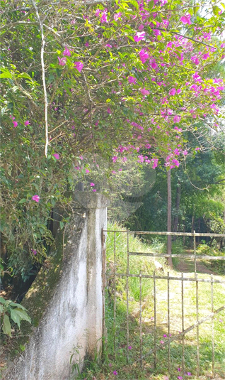 Foto REO1069849