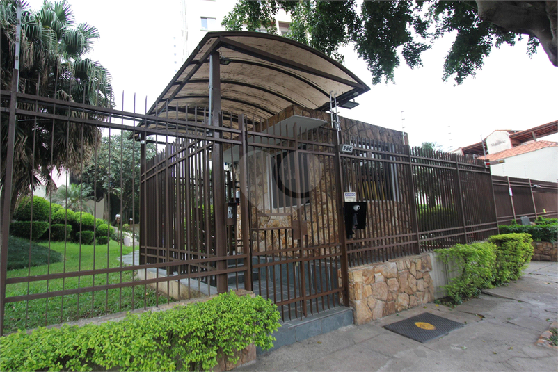 Foto REO1069866
