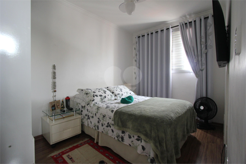 Foto REO1069866