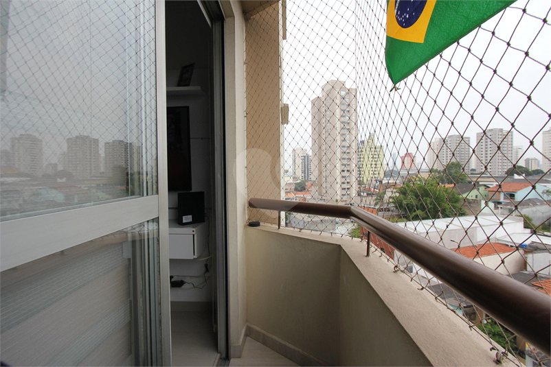Foto REO1069866