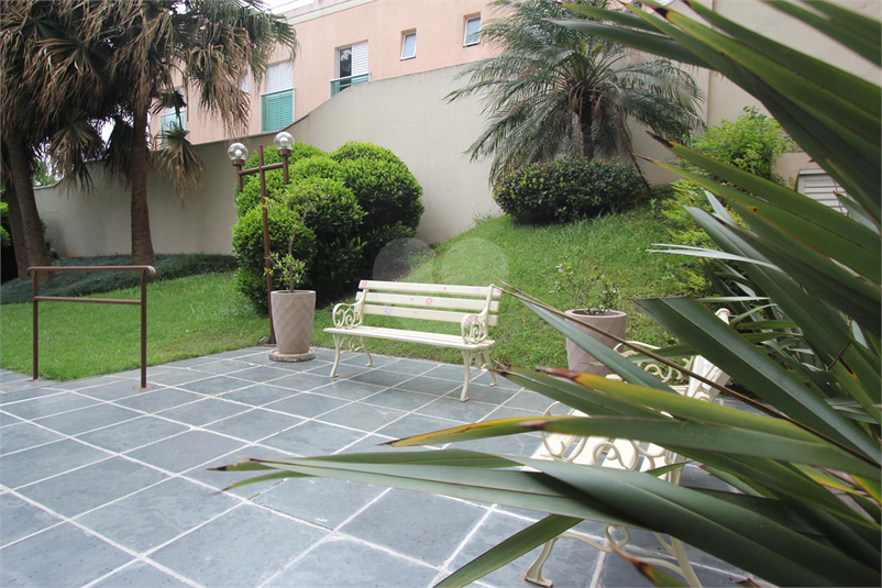 Foto REO1069866