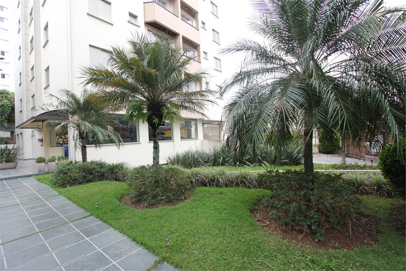 Foto REO1069866
