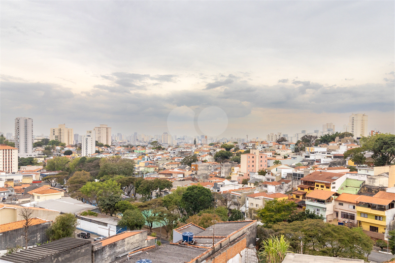 Foto REO1070143