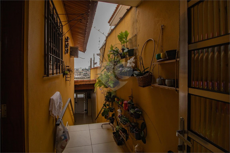 Foto REO1070248