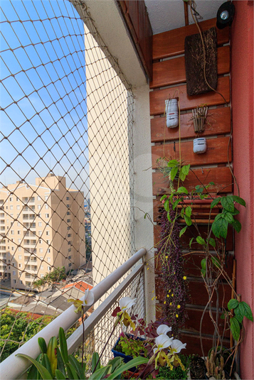 Foto REO1070257