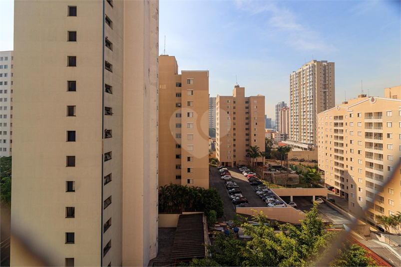 Foto REO1070257