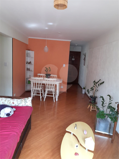 Foto REO1070267