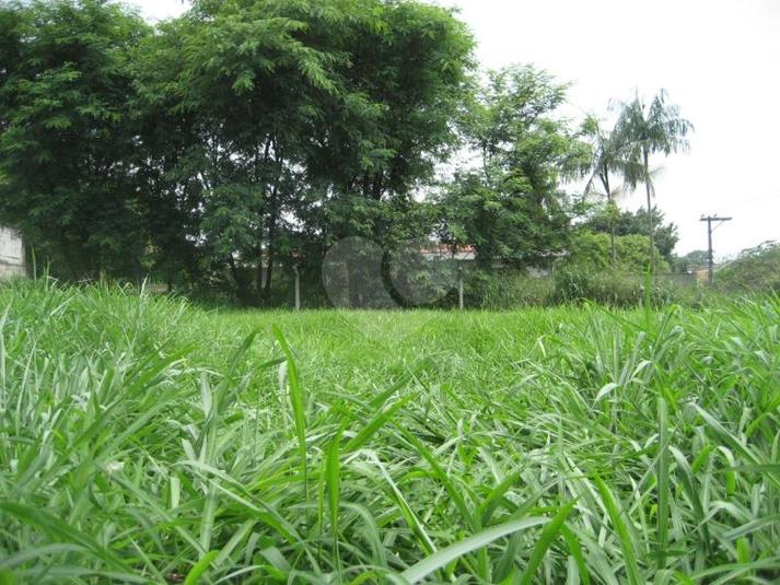 Venda Terreno São Paulo City Boaçava REO107064 1