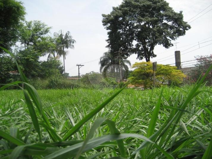 Venda Terreno São Paulo City Boaçava REO107064 2