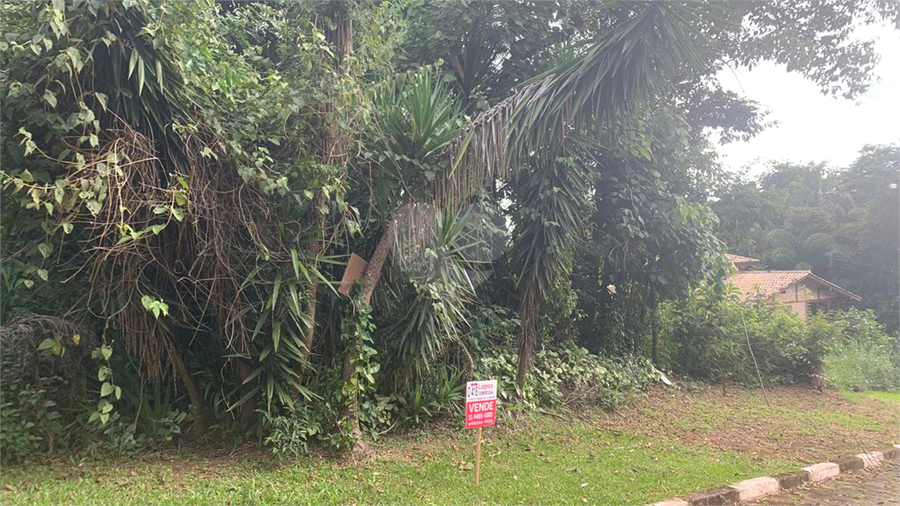 Foto REO1070640