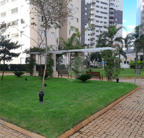 Foto REO1070666