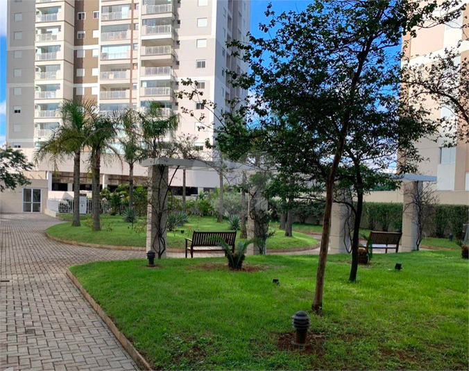 Foto REO1070666