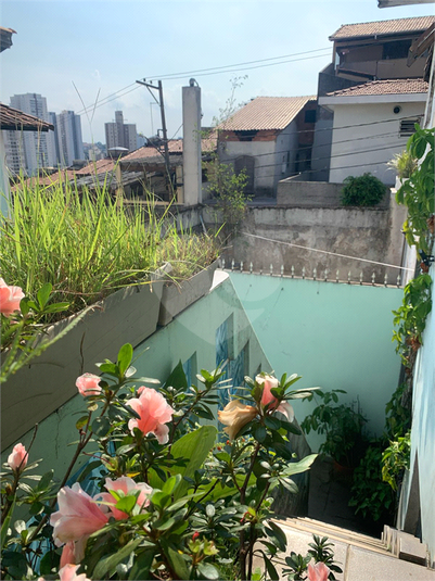 vista quintal