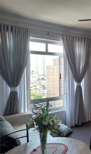 Foto REO1070739