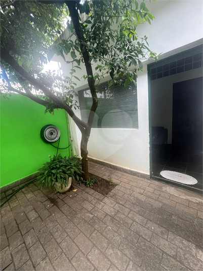Foto REO1070760