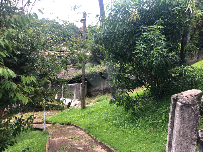 Foto REO1070769
