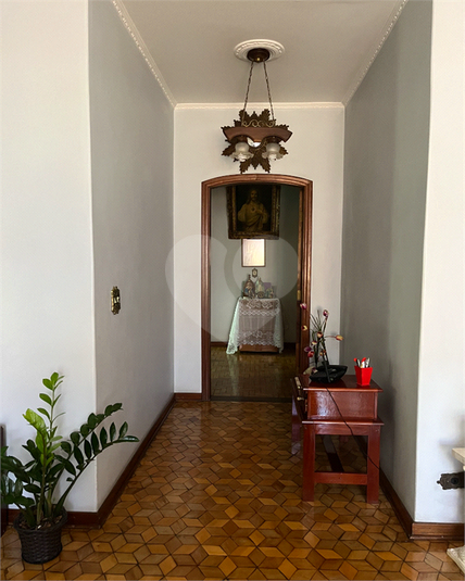 Foto REO1070799