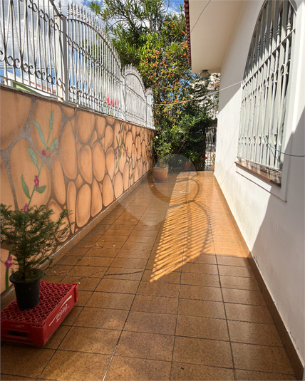 Foto REO1070799