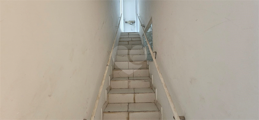 Foto REO1070859