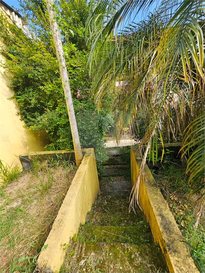 Foto REO1071012