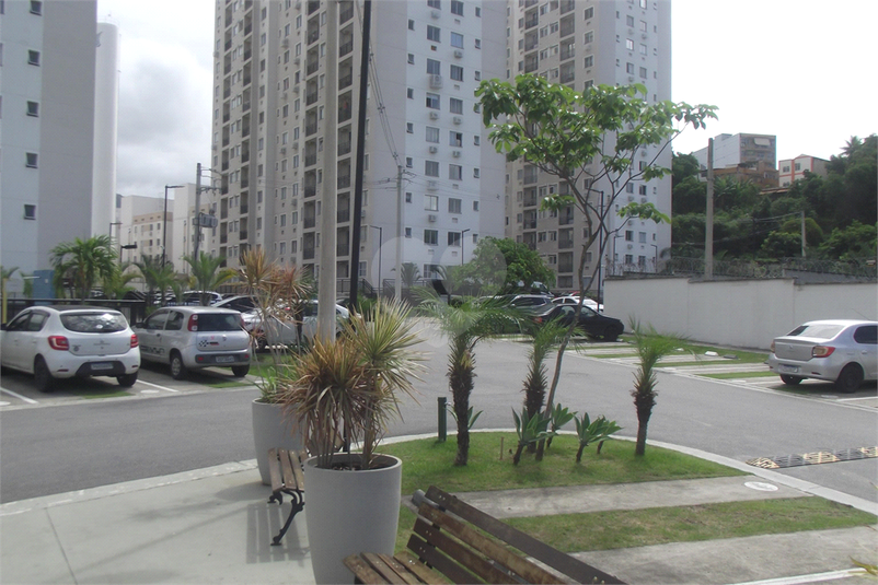 Foto REO1071351