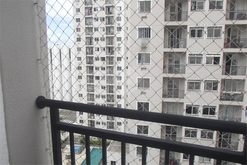 Foto REO1071351