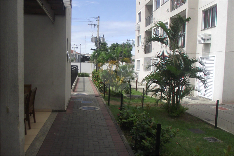 Foto REO1071351