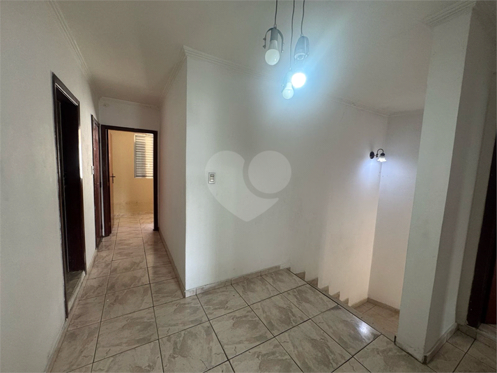 Foto REO1071408