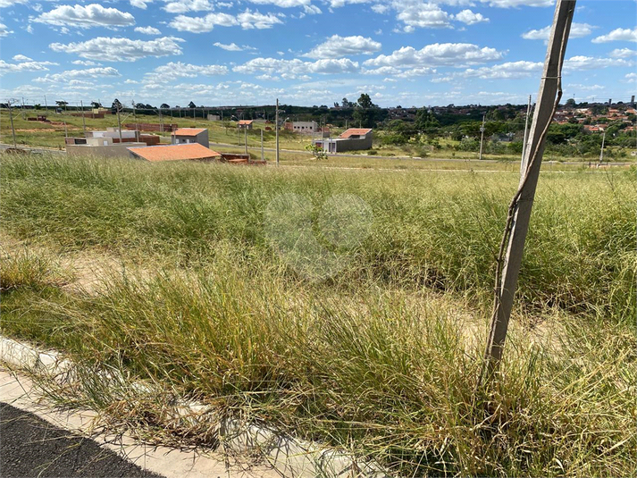 Foto REO1071675