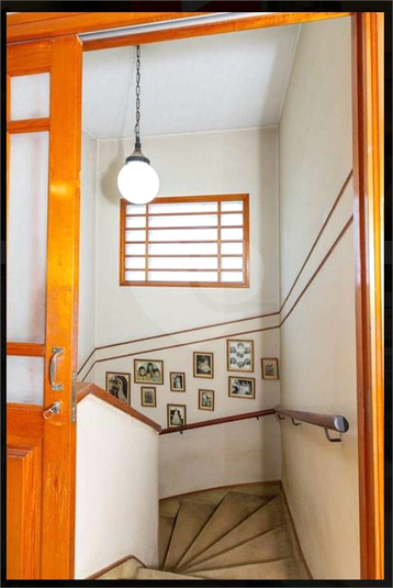 Foto REO1071678
