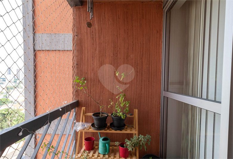 Foto REO1071731