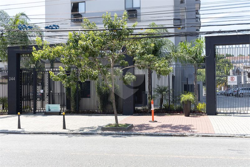 Foto REO1071796