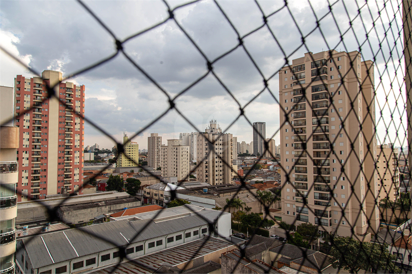 Foto REO1071813