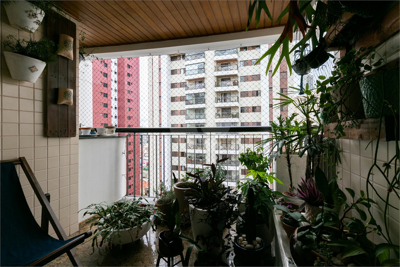Foto REO1071841