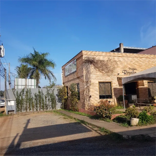 Foto REO1072082