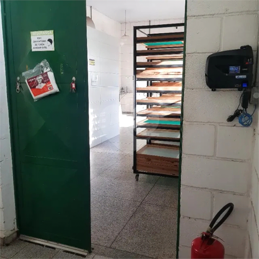 Foto REO1072082
