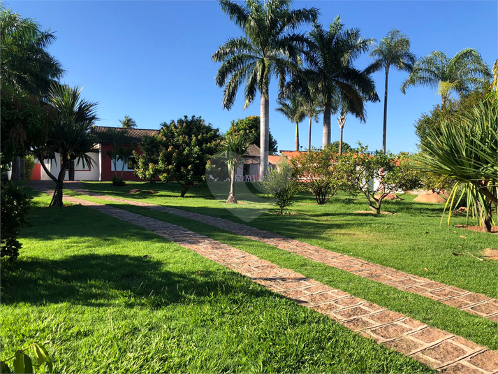 Foto REO1072166