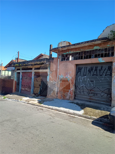 Foto REO1072178