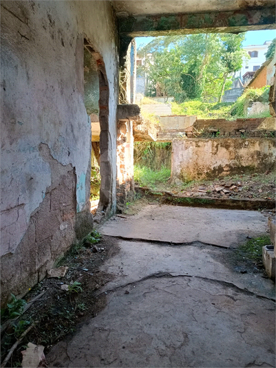 Foto REO1072178