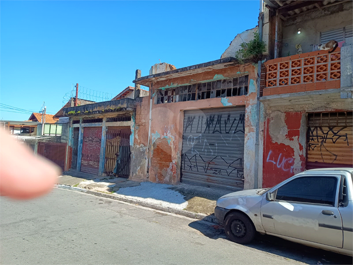 Foto REO1072178