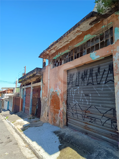 Foto REO1072178