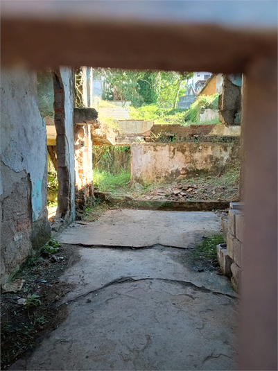 Foto REO1072178