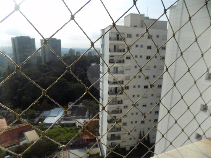 Foto REO1072180