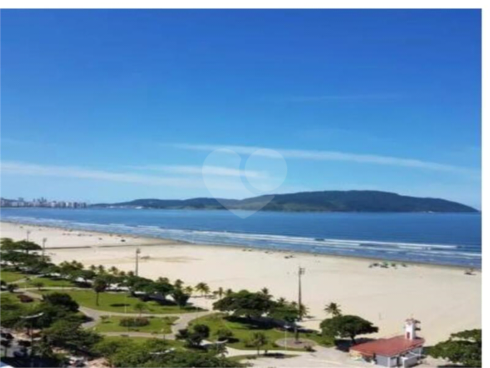 Foto REO1072224